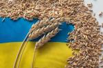 EU-Abkommen: Verluste für die Ukraine durch neue Beschränkungen